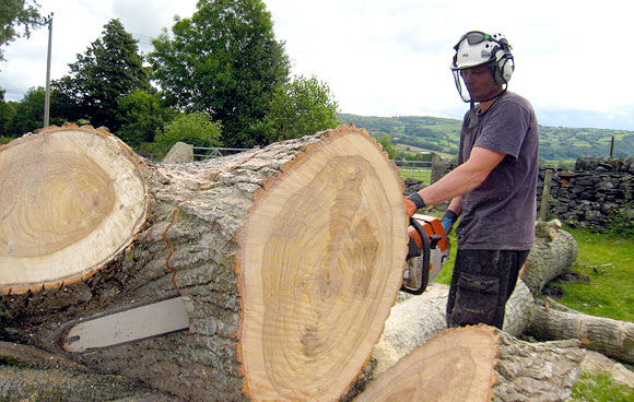 Skyline Tree Services